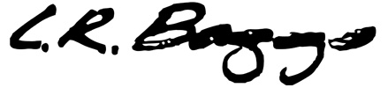 Baggs Logo small